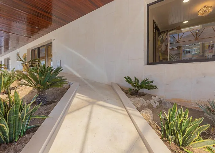 Lujoso Ap Con Piscina Frente Al Mar *